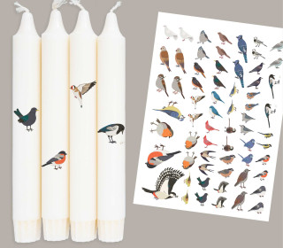 DIN A4 - Tattoofolie - Vogelfreunde - für Kerzen / Keramik