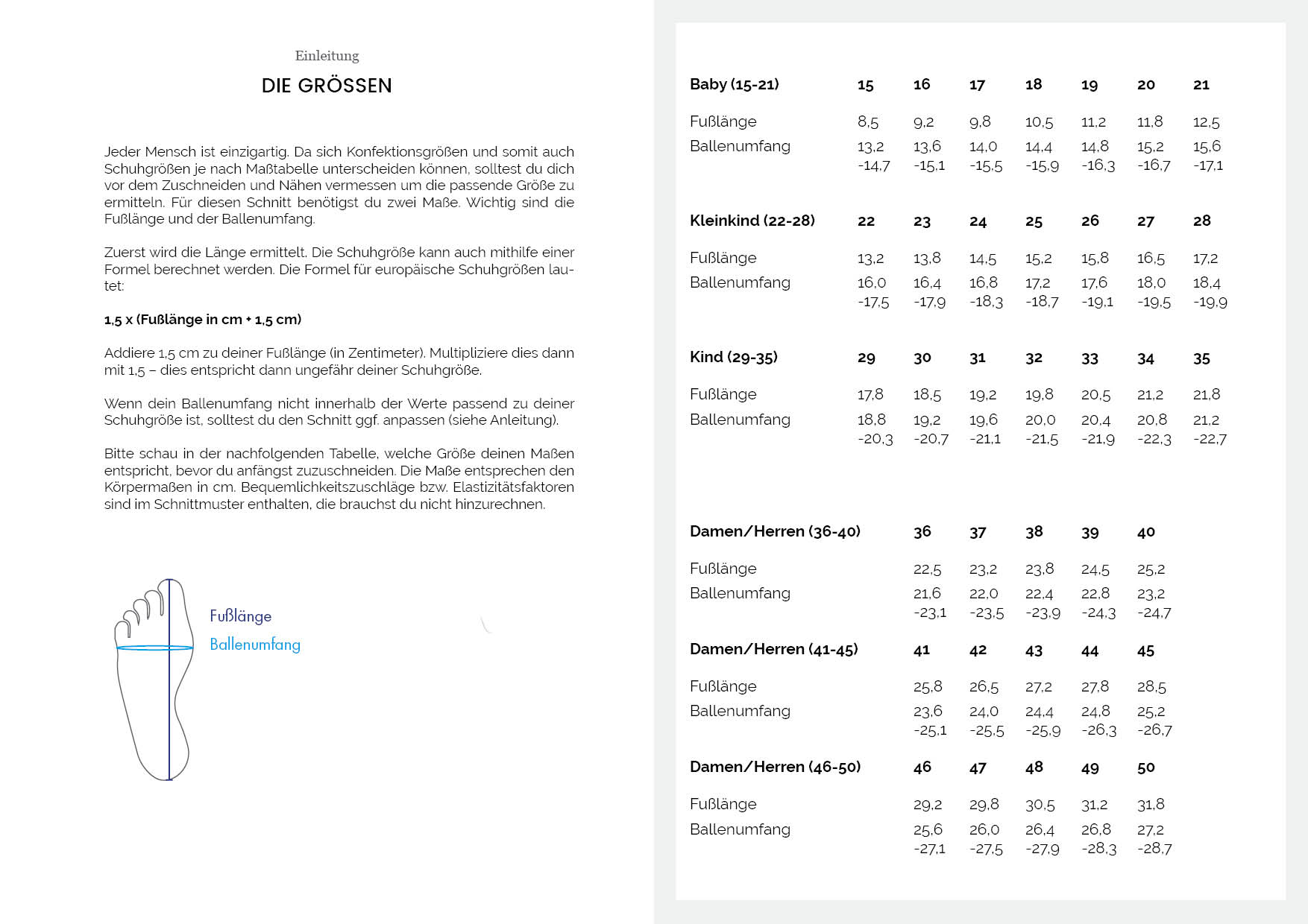 Ebook - "Socken "Ringelprinz(essin)" Gr. 15-50"